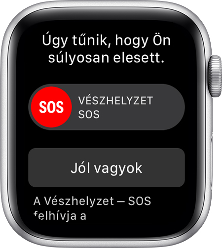 „Úgy tűnik, hogy Ön súlyosan elesett.”